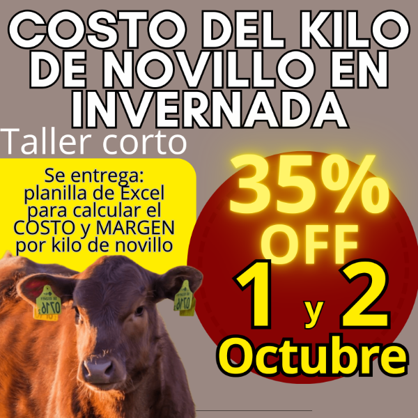 Producto - Taller corto: cálculo del costo del kilo de novillo - 0