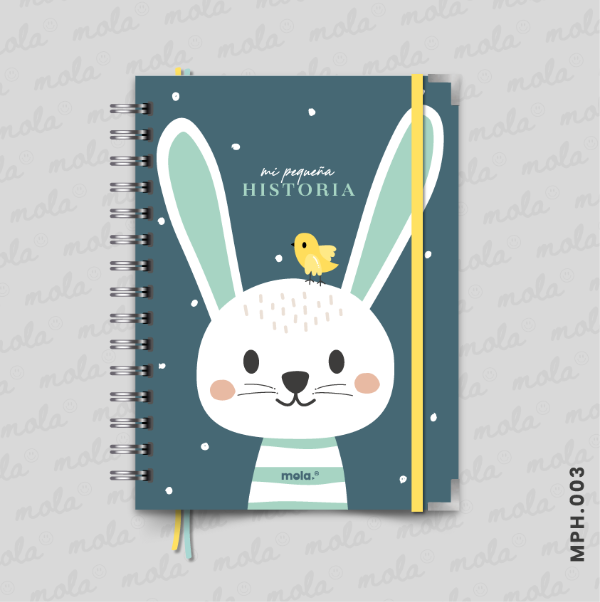Producto - Libro de Recuerdos - MPH.003