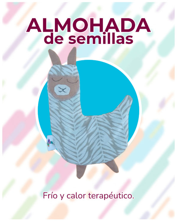 Producto - Almohada de Semillas