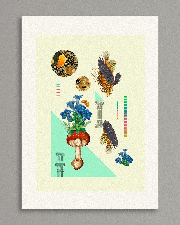 Producto - TAXONOMIC