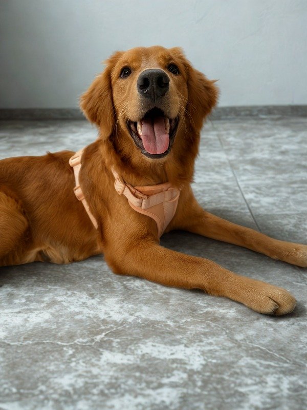 Miniatura de producto - 8