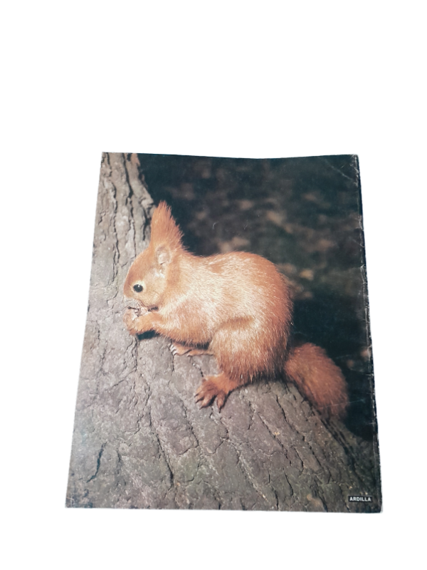 Miniatura de producto - 7