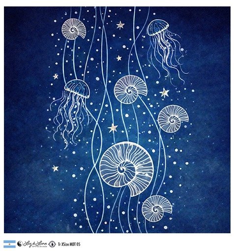 Producto - Tr Xtra Size MDT 05