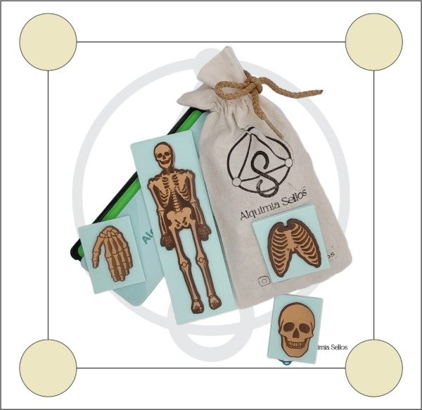 Producto - Set de 12 Sellos Esqueleto Humano + Almohadilla y Tinta