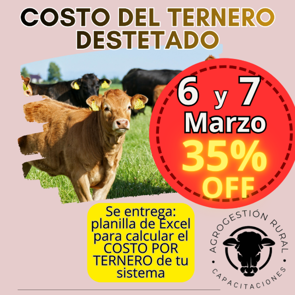 Producto - Taller Online: Costo del Ternero