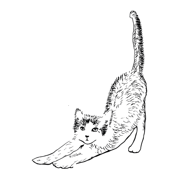 Producto - Iman de gatito desperezándose