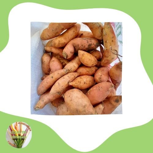 Producto - Batatines beauregard (naranjas)