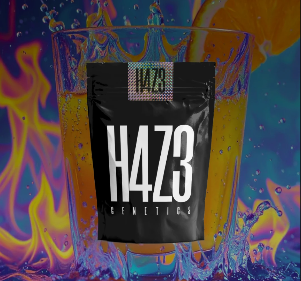 Producto - H4ZE Gods Juice Autofloreciente x4