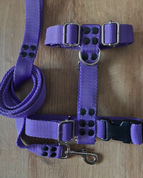 Producto - Pretal y correa LILAC