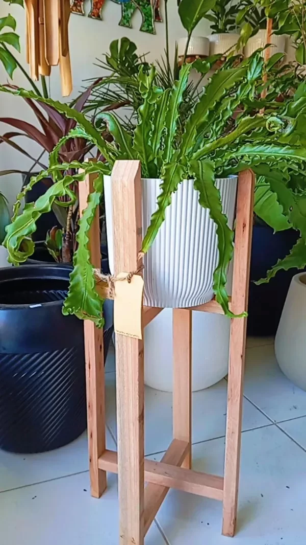 Producto - Porta maceta de madera