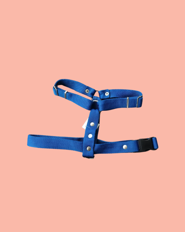 Producto - Pretal en H liso - Talle 2