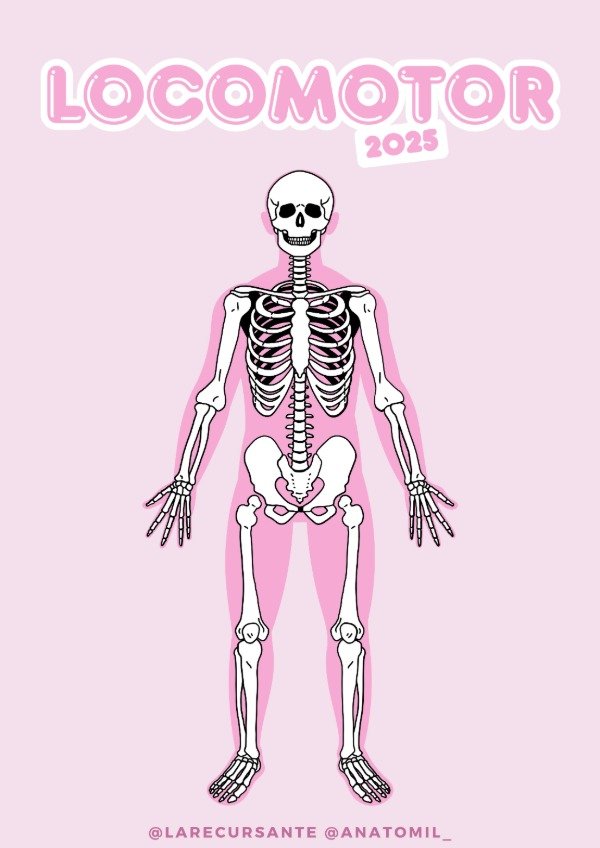 Producto - compilado locomotor - pdf