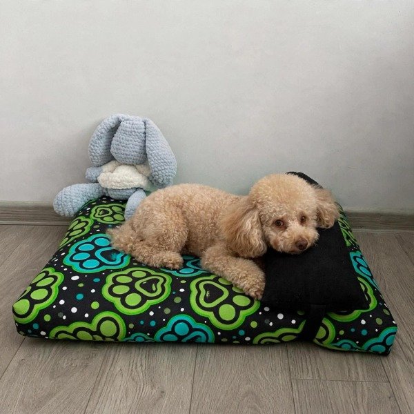 Producto - Colchonetas Rectangular con Almohadon Huellas verdes - 0
