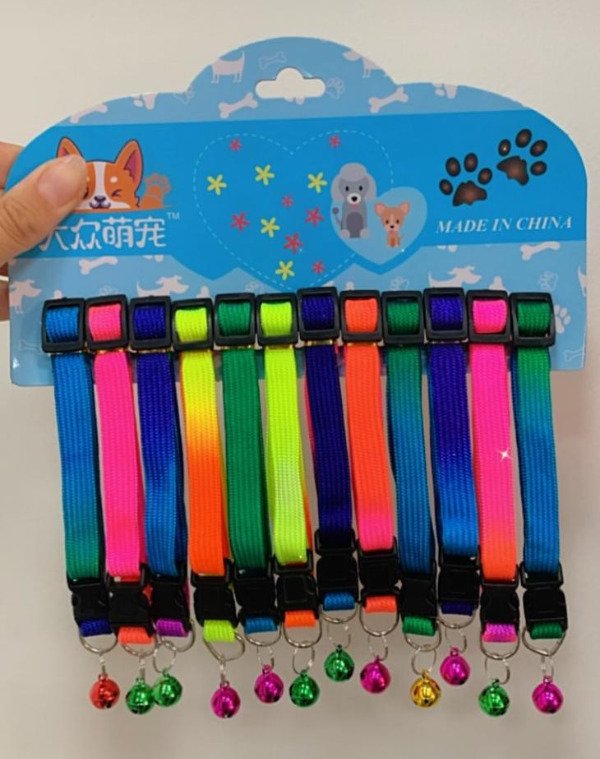 Producto - Collar Fluo Gato