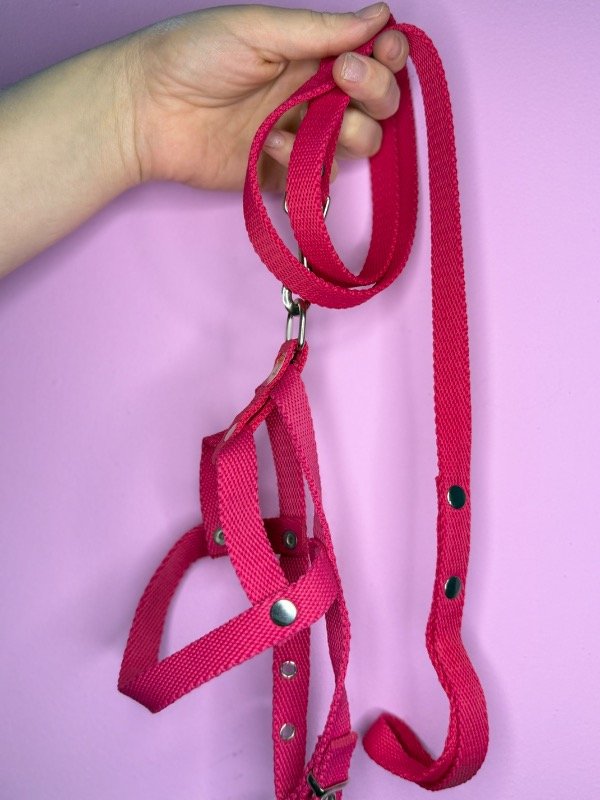 Producto - Pretal liso más correa talle 2