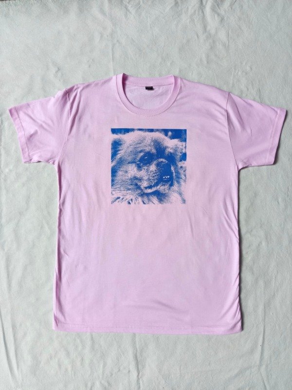 Producto - Remera Perri