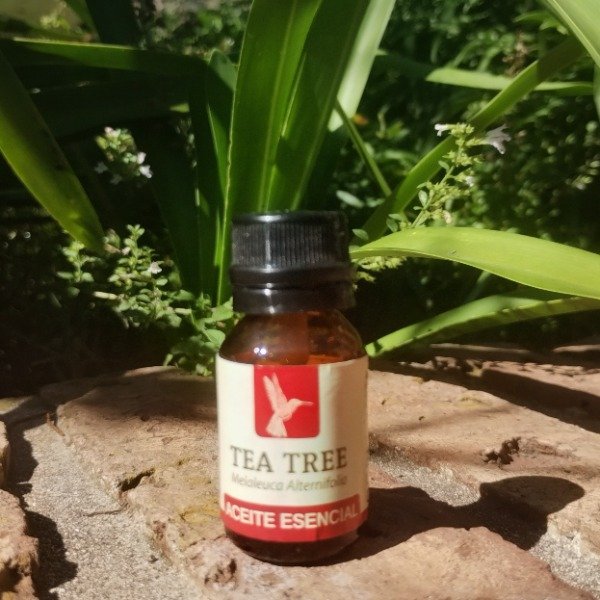 Producto - Aceite Esencial Puro de Tea Tree 10 cc - Qori Q'ente
