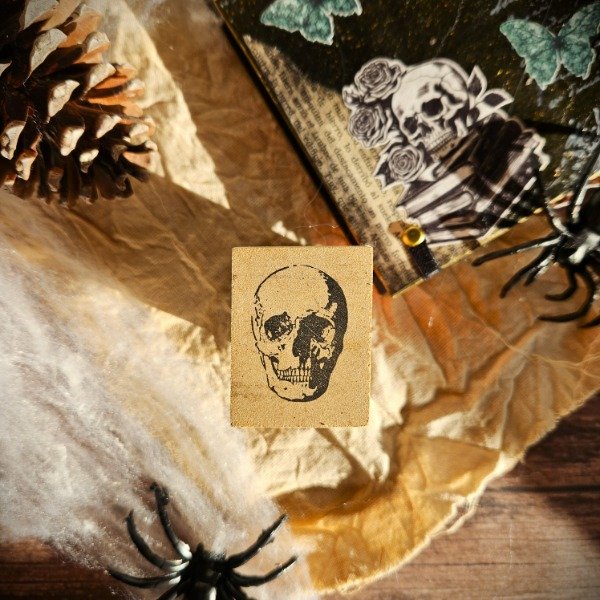 Producto - CRANEO ANTIGUO
