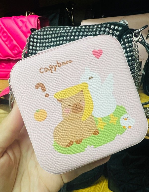 Producto - Mini alhajero , joyero organizador capibara - 2