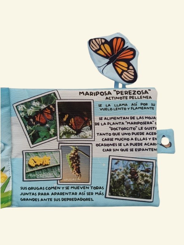 Miniatura de producto - 9