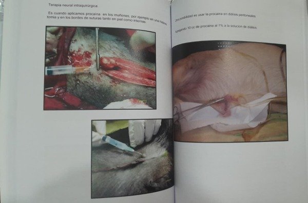Producto - Castro: Bases para la Terapia Neural en Caninos y Felinos - 5