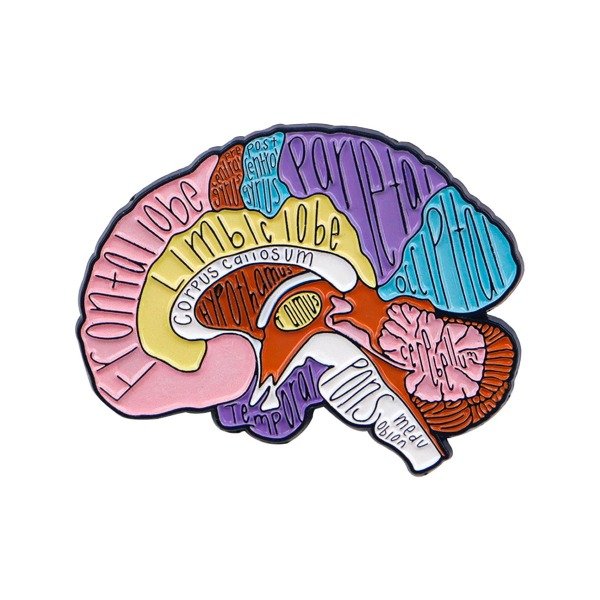 Producto - Pin Anatomía - Cerebro diagrama de Lóbulos