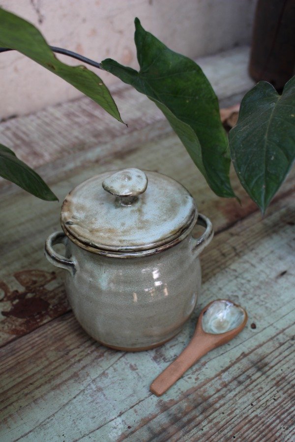Producto - Frasco Hongo con Cuchara - 3