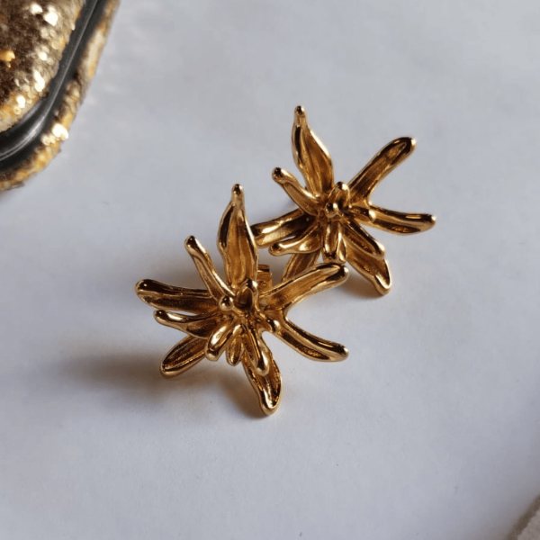 Producto - Aros Helecho