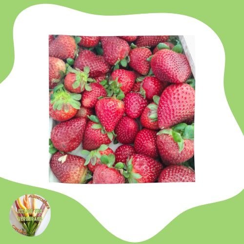 Producto - Frutillas