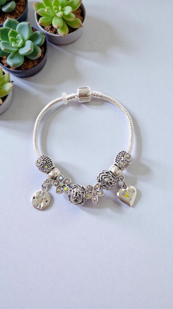 Producto - Charms 50