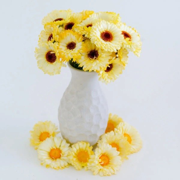Producto - CALENDULA SNOW PRINCE