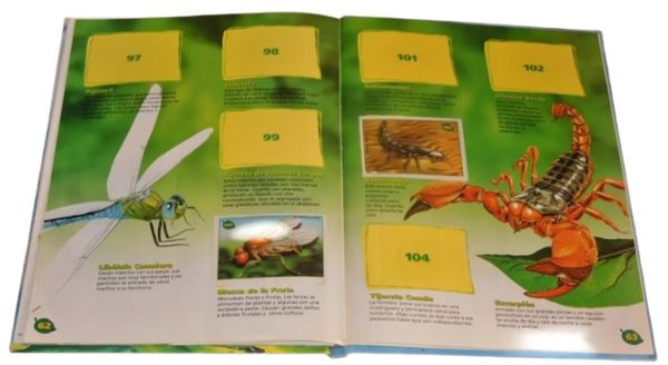 Miniatura de producto - 2