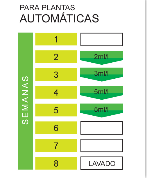 Producto - Namaste Oro Negro - 3