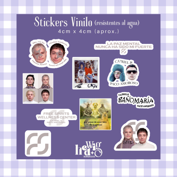 Producto - Pack 10 Stickers Vinilo CATOPACO
