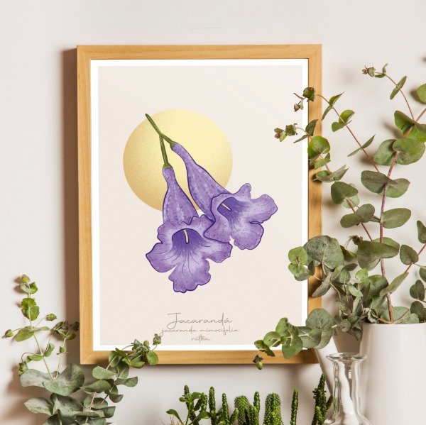 Producto - Jacarandá (lámina)