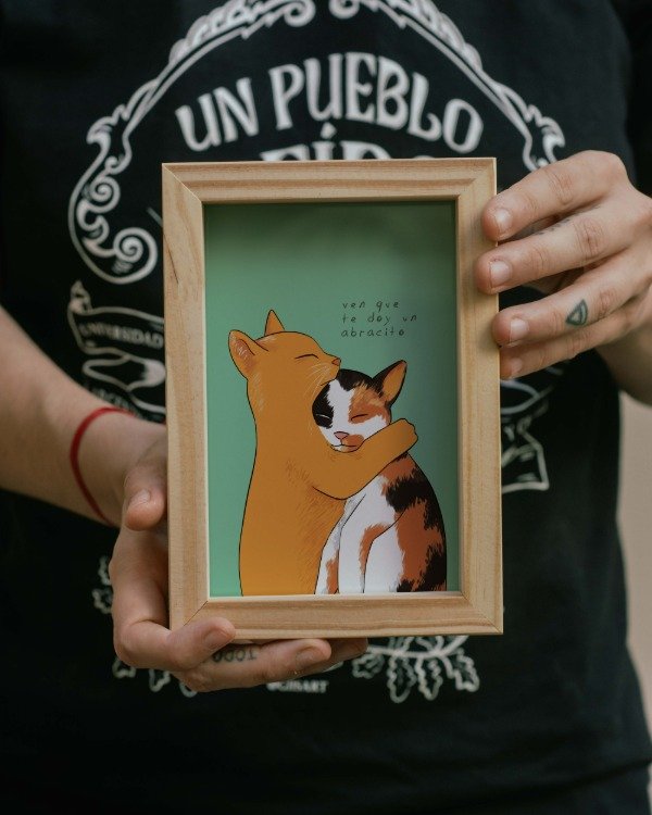 Producto - Gatites abrazo