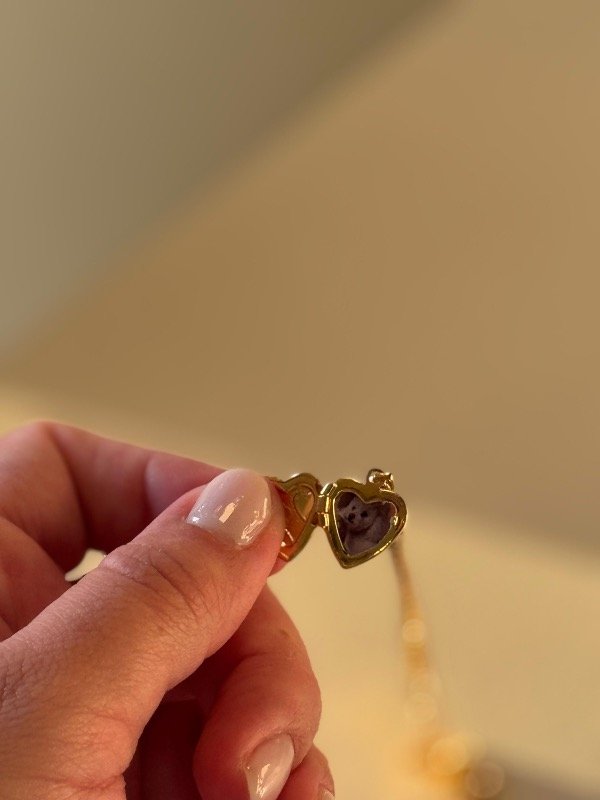 Producto - Relicario corazón mini solo plateado