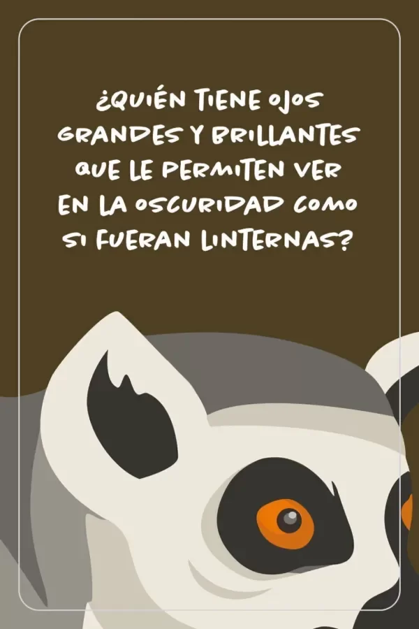 Producto - Cartas de adivinanzas: quién es - Oso Pardo - 1