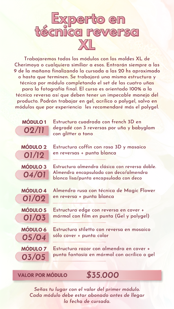 Producto - Experto en Técnica Reversa XL - 1