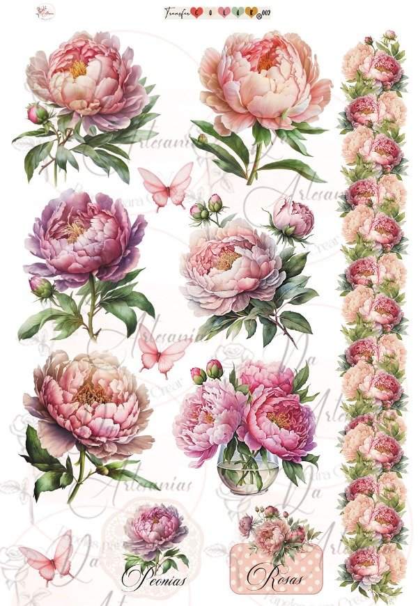 Producto - TRANSFER COLOR A4 002