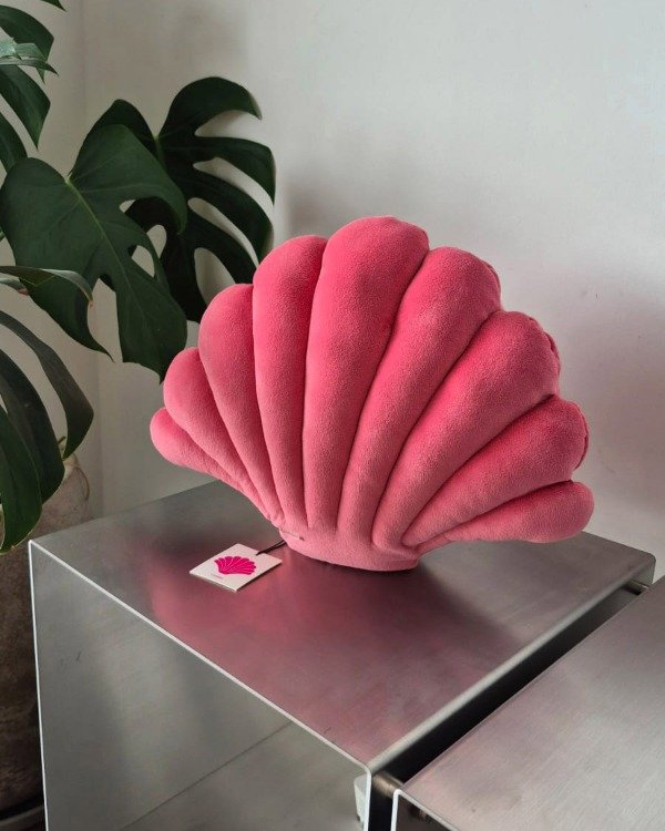 Producto - Concha de mar