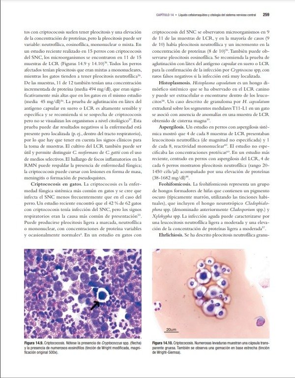 Producto - Cowell: Diagnóstico Citológico y Hematológico del Perro y el Gato, 5ta - 6