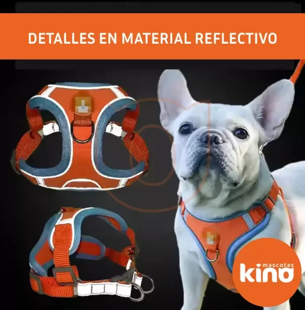 Producto - PRETAL ANTITIRONES