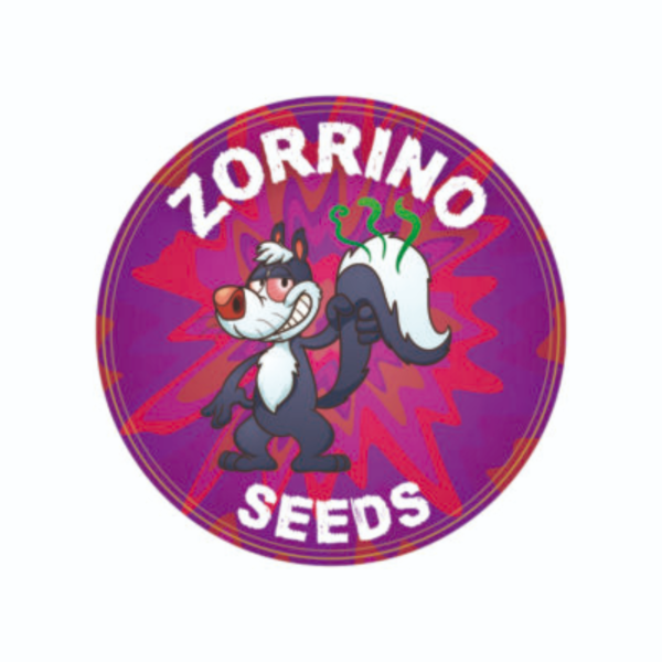 Producto - Sorbet Mint x4 Zorrino Seeds