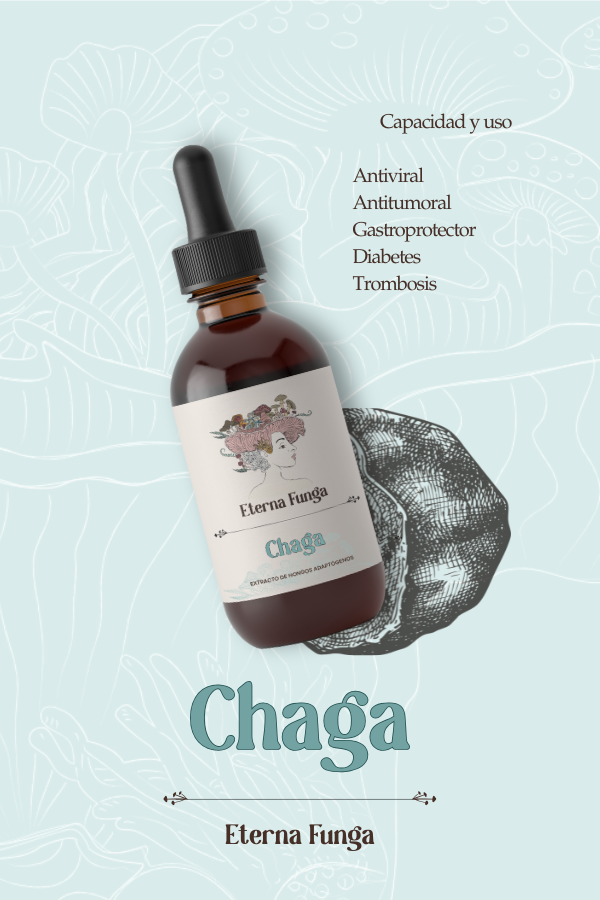 Producto - Chaga