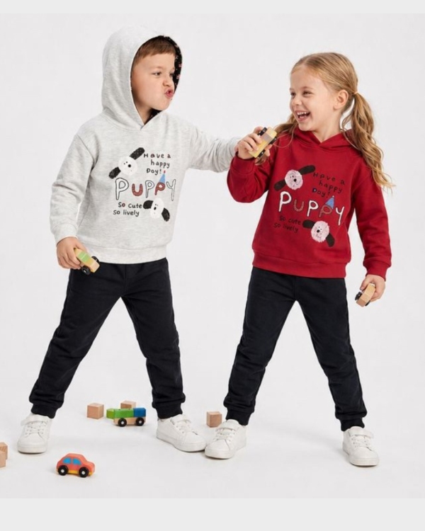 Producto - BUZO FRIZADO CON CAPUCHA