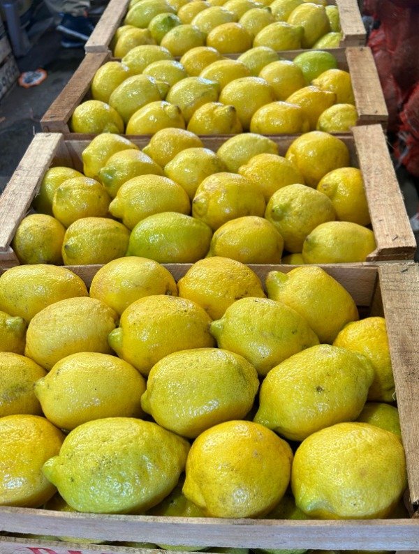 Producto - LIMONES