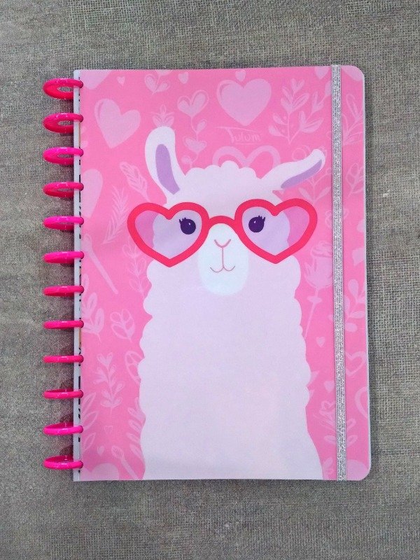 Producto - Cuaderno Inteligente Base A4 "XL" 100h (extensible a 200h) dis. llama cool
