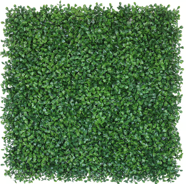 Producto - Jardín Vertical Buxus