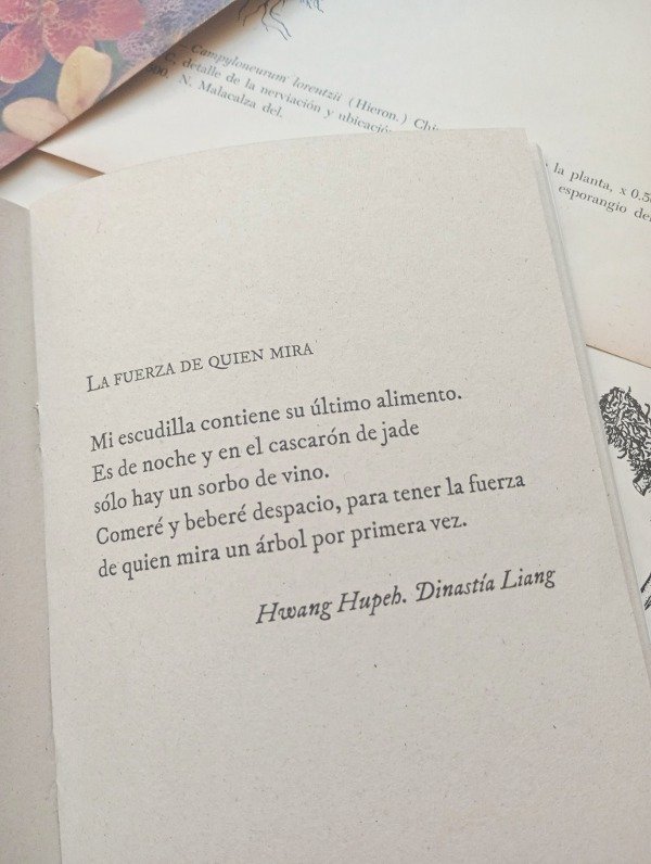 Producto - (ALGUNOS) POEMAS CHINOS de ALBERTO LAISECA - 1